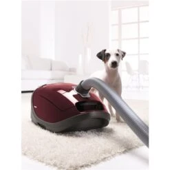 Aspirateur à Cartouche Complete C3 Cat & Dog De Miele -Magasin D'Aspirateurs 330838093 AlternateImage2 l