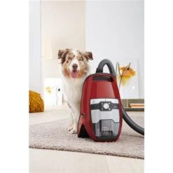 Aspirateur Blizzard CX1 Cat & Dog De Miele -Magasin D'Aspirateurs 330838094 AlternateImage2 l